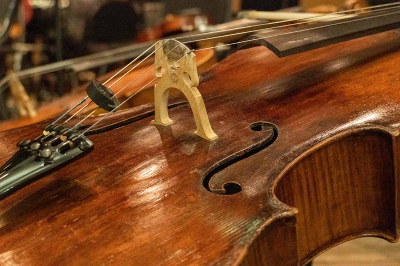 филармония концерт оркестр фото ермакова (47).jpg