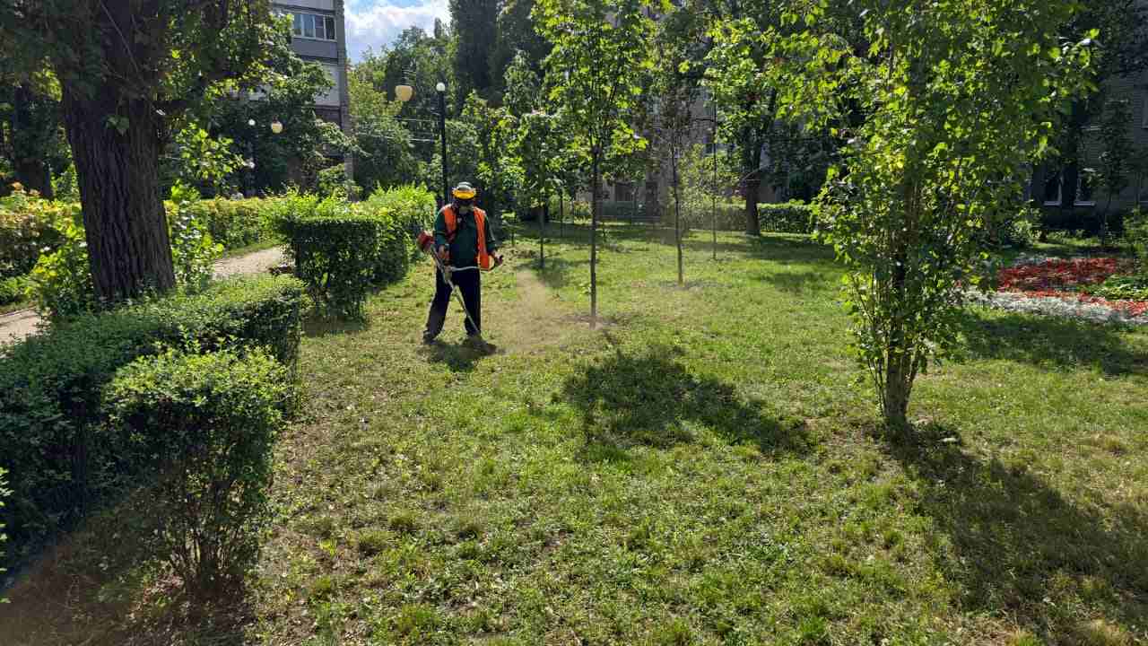 WhatsApp Image 2025-08-06 at 14.48.46.jpeg