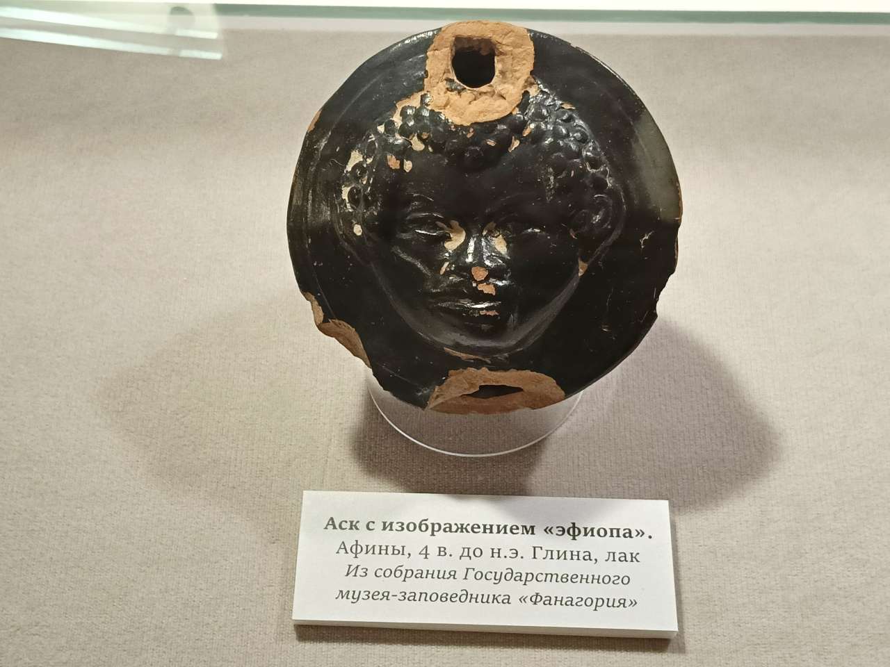 IMG20260626115835.jpg