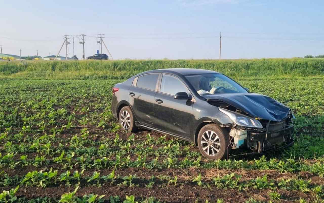 моп1.jpg моп1.jpg