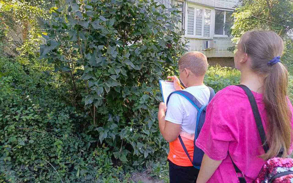 В Ленинском районе юные орнитологи считают воробьев
