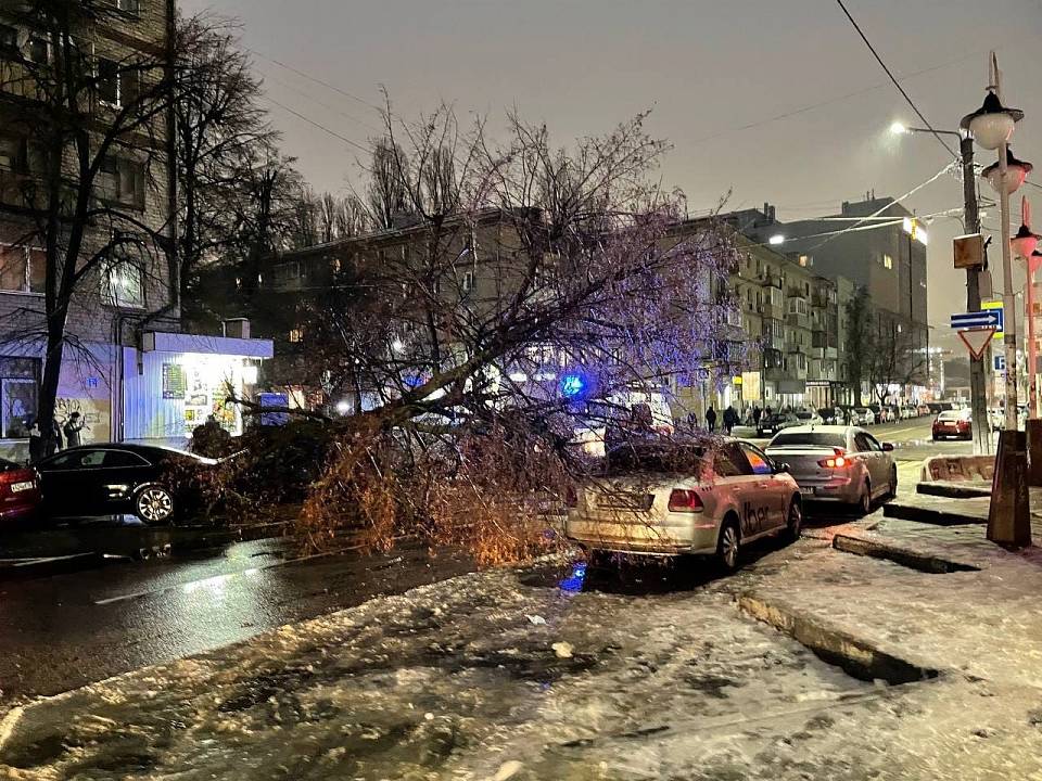 В центре Воронежа дерево упало на проезжающий автомобиль