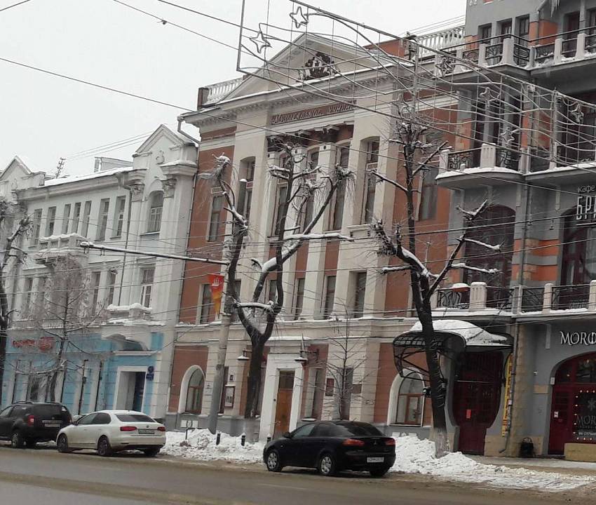В Воронеже проведут капремонт здания колледжа имени Ростроповичей за 114 млн рублей