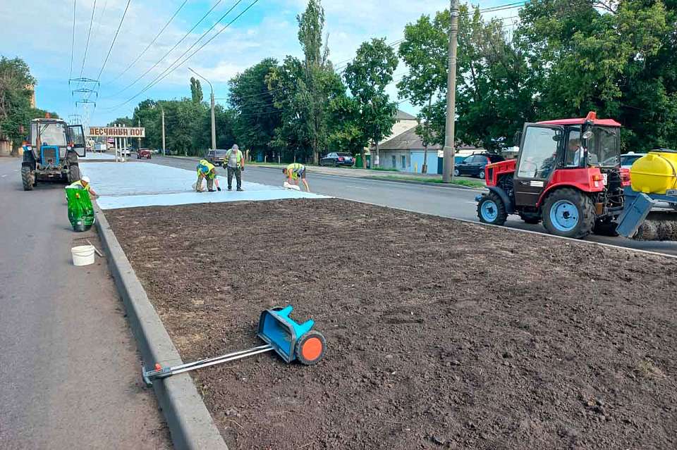 Где в Воронеже обустраивают самый большой газон
