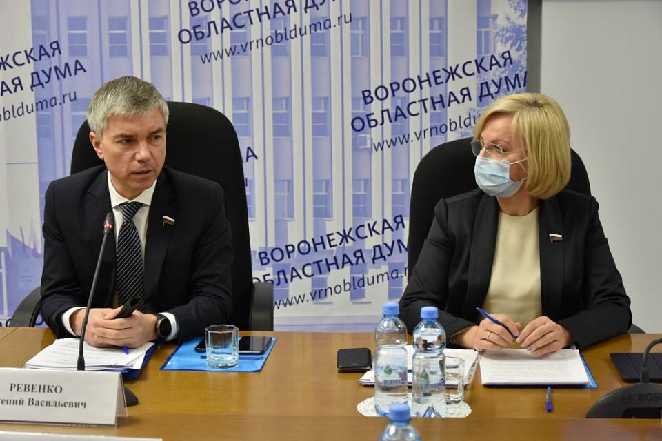 Воронежские сенаторы и депутаты Госдумы раскрыли свои доходы за пандемийный год