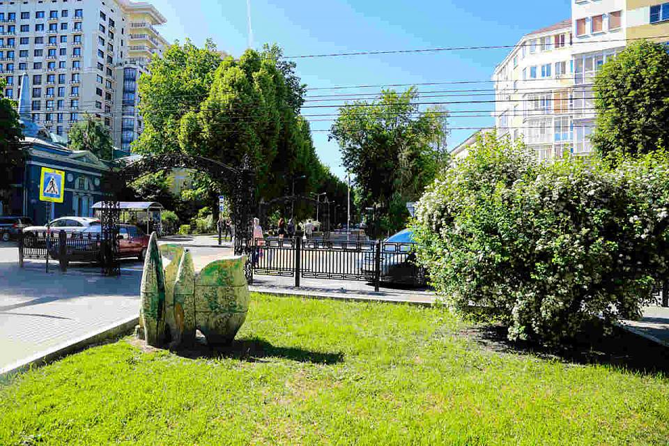 В Воронеже новую улицу назовут в честь выдающегося ботаника Михаила Цвета
