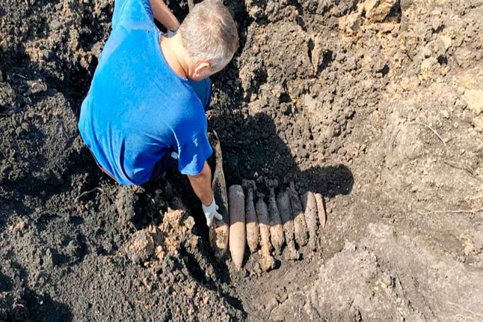 Девять боеприпасов взорвали под Воронежем