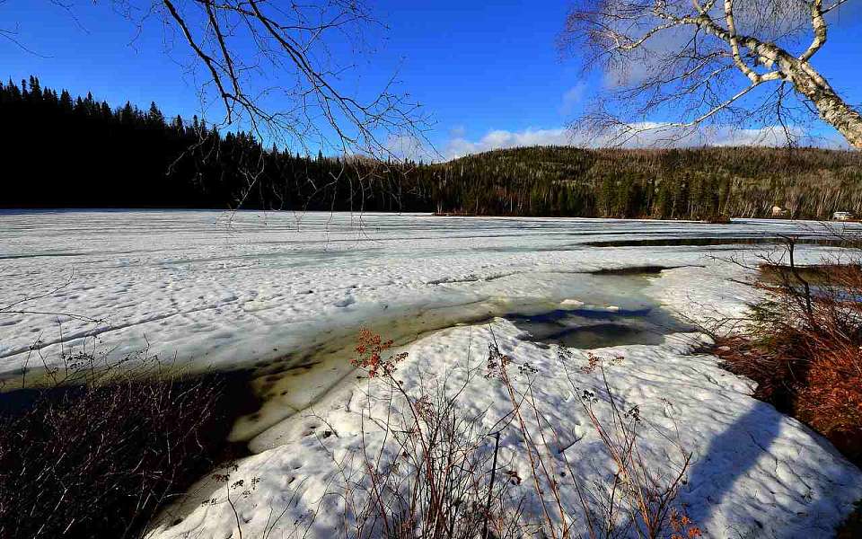 Аномальное потепление ожидается в Воронежской области