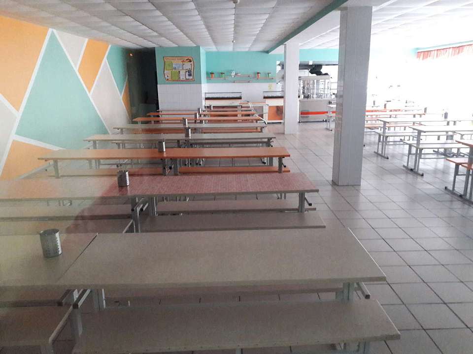 У двух сотрудников школьных столовых в Воронежской области выявили норовирус