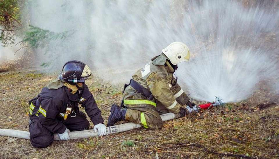 Более 90 ландшафтных пожаров зафиксировано сегодня в Воронежской области