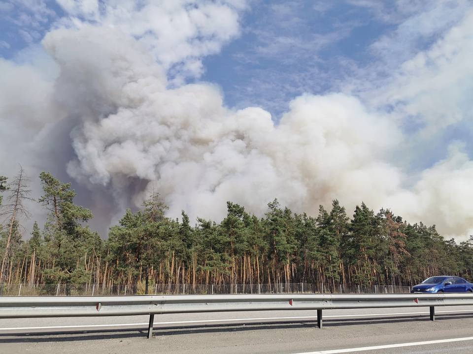 В Воронежской области из-за пожара на 10 га леса жителей подготовили к эвакуации