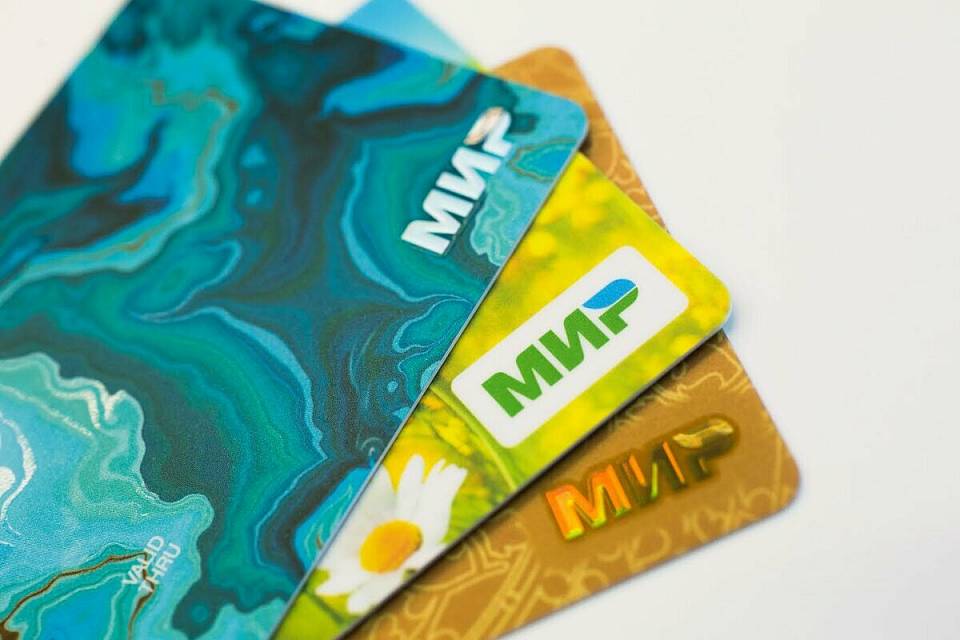 54,4 миллиона рублей сэкономили воронежцы благодаря реализации акции национальной системы платежных карт «Мир»