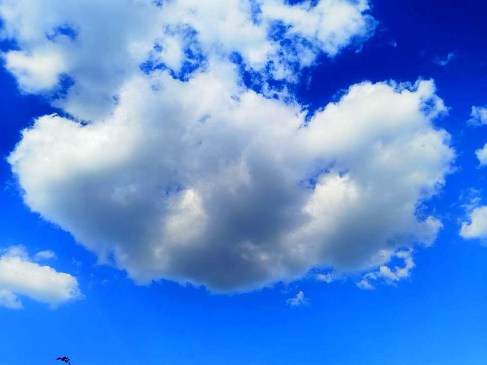 Что будет в Воронеже 16 марта. Евтропиев день. День цветных карандашей. Лекции для героев. Видеонаблюдение во время ЕГЭ