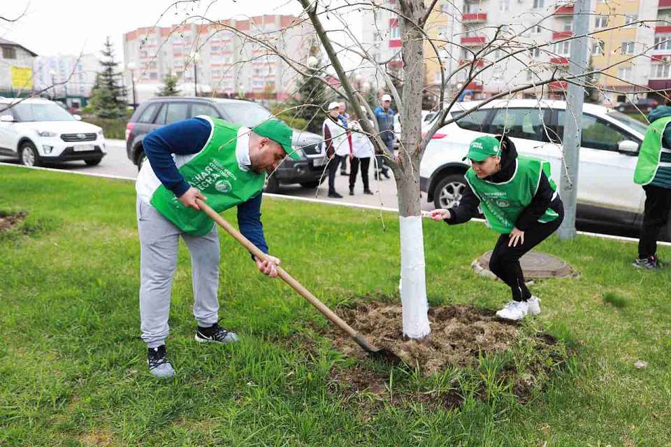 Работу нововоронежских эко-волонтеров отметило руководство Росатома