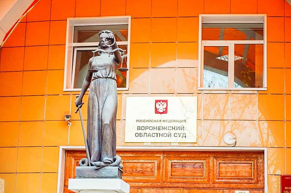 Еще семь судейских вакансий открыли в Воронежской области