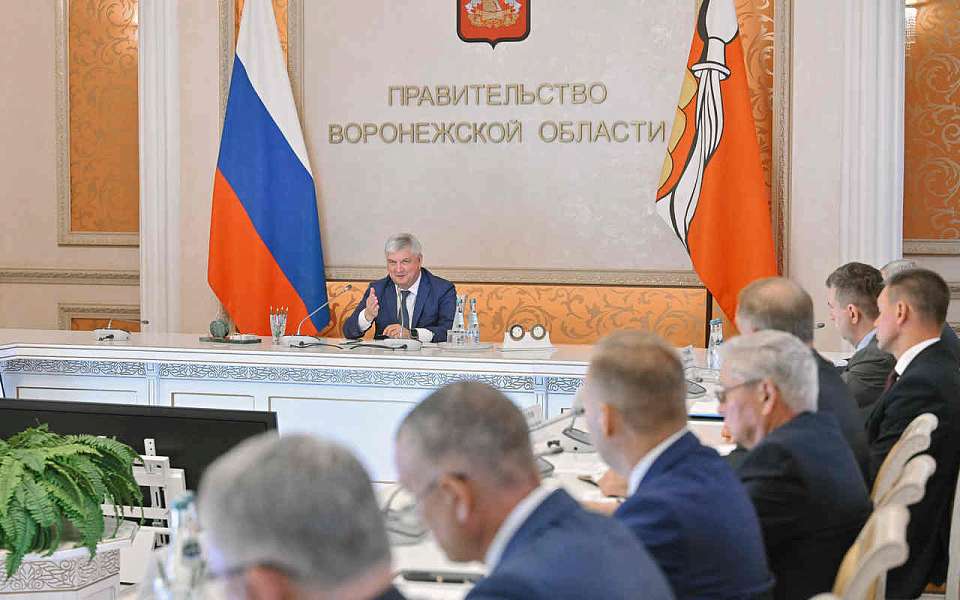 Итоги мониторинга лагерей детского отдыха обсудили в правительстве Воронежской области