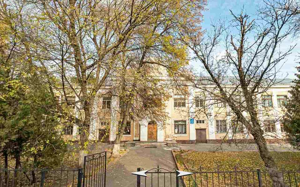 В Воронеже смогут отреставрировать историческое здание школы № 20