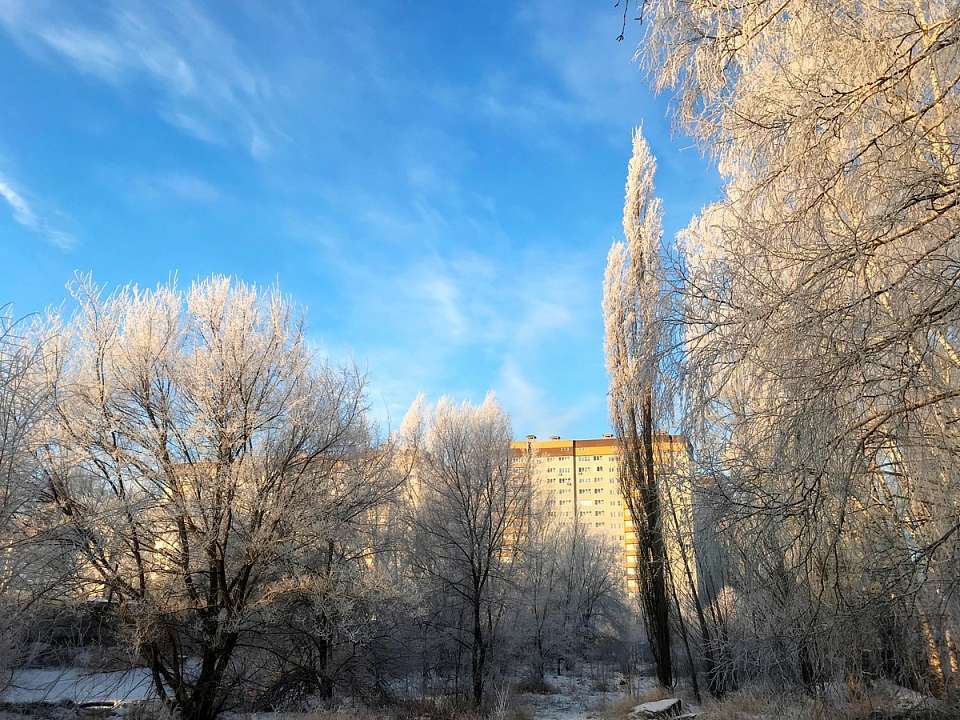 О погоде зимой в Воронежской области рассказали в Гидрометцентре