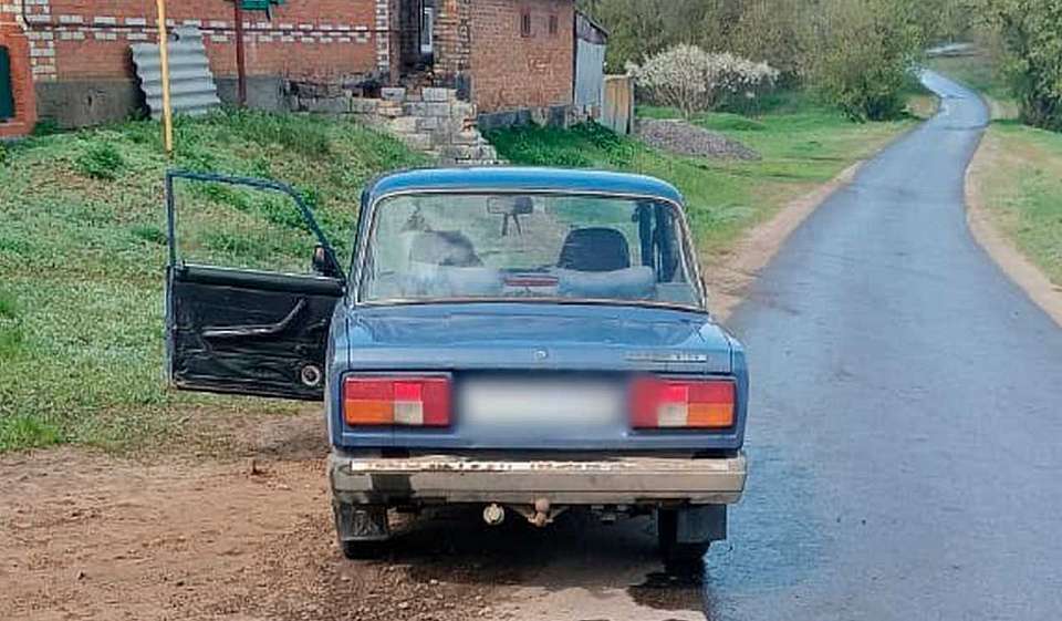 Пьяный автомобилист сбил 9-летнюю девочку в воронежском селе