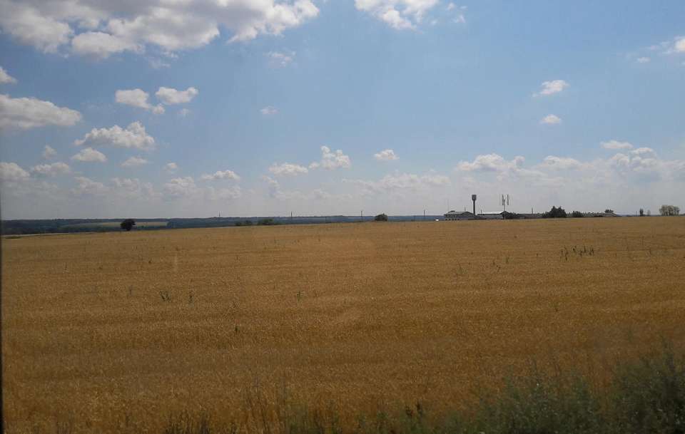 К воронежской зерновой фирме «Сибиэс Апстрим» заявлены претензии на 1,5 млрд рублей