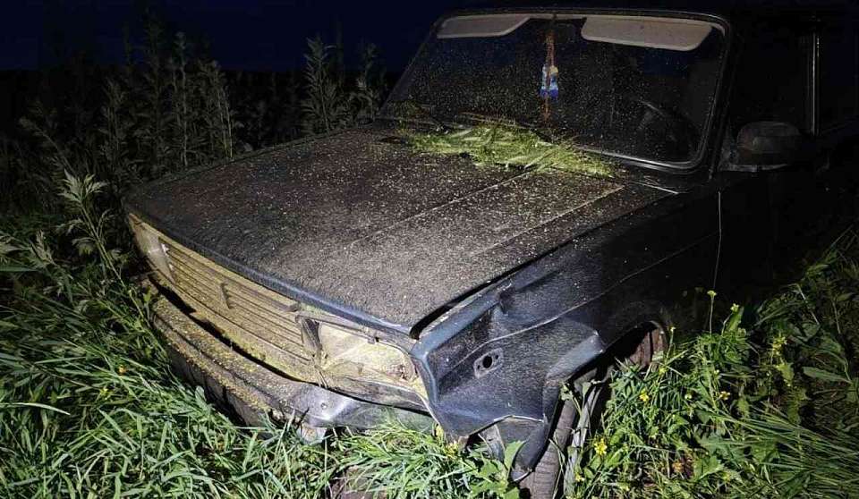 Мать сбитого насмерть ребёнка в Воронежской области обратилась к Бастрыкину с просьбой наказать виновника ДТП