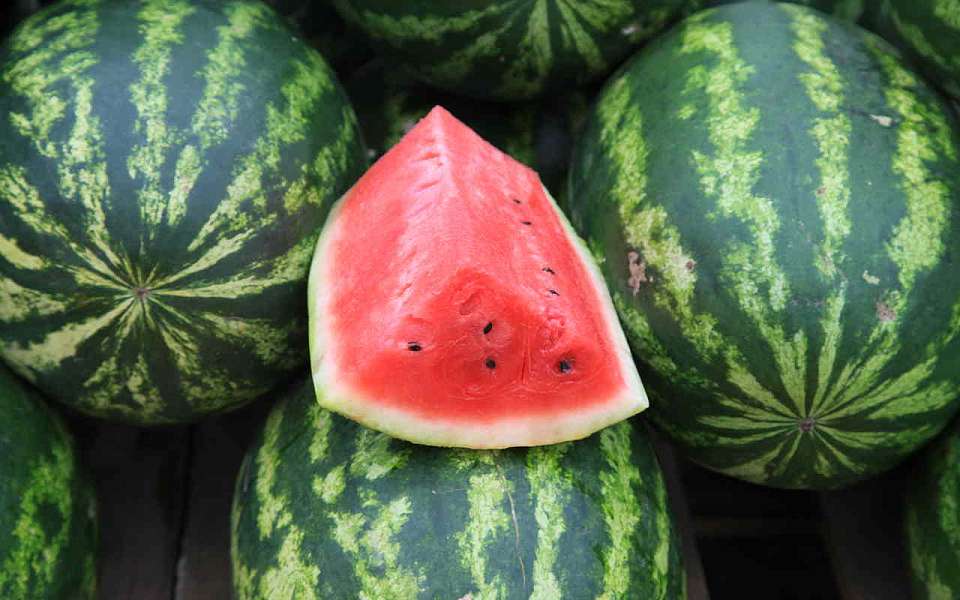 Более 3 тонн опасных арбузов и дынь изъял Роспотребнадзор в Воронеже