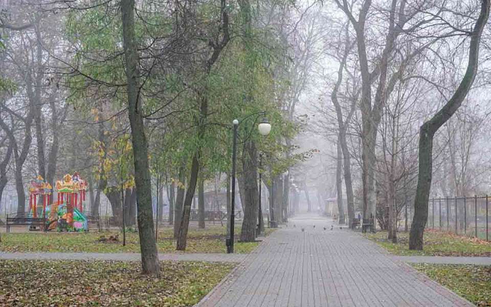 Потеплеет до +11 градусов 10 ноября в Воронежской области