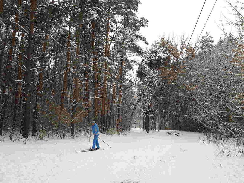 Похолодает до -8 градусов в начале новой недели в Воронежской области