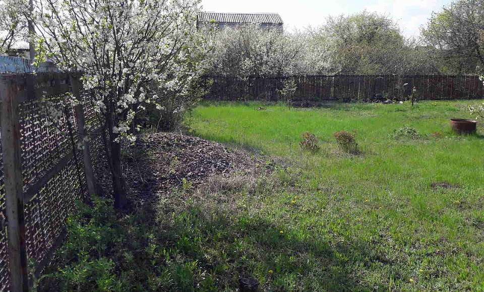 Земельные участки или выплату получили почти 600 воронежских бойцов СВО