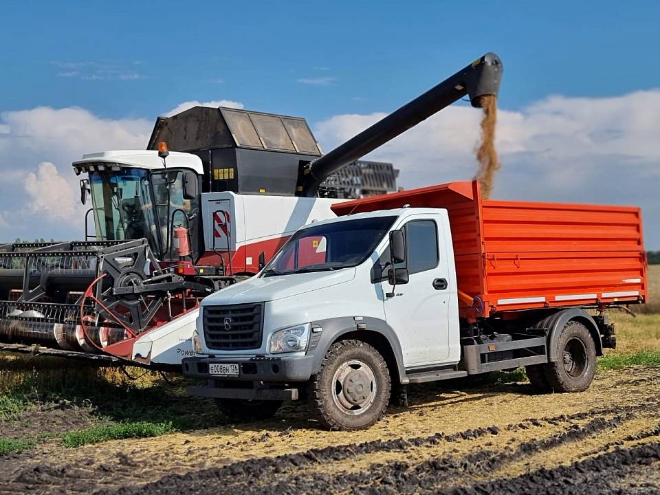 В Воронежской области собрали уже 2 млн тонн зерна