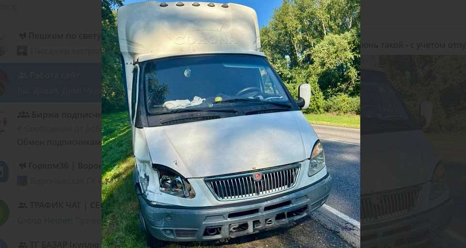 Волгоградец не справился с управлением авто и задавил 49-летнего воронежского велосипедиста