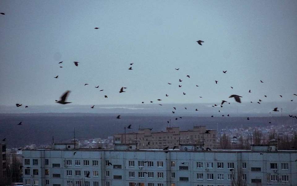 К какой погоде приготовиться воронежцам 4 декабря, рассказали синоптики