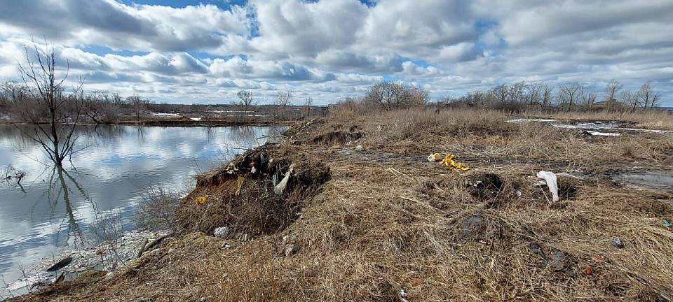К загрязнению почвы привёл излив сточных вод очистных сооружений под Воронежем