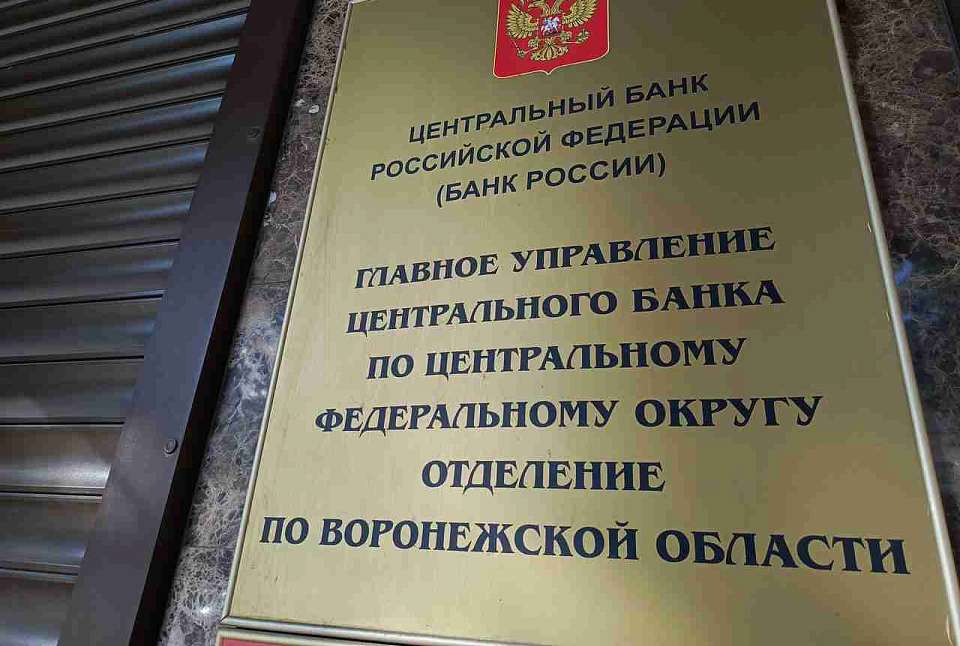 Число жалоб воронежцев на кибермошенников снизилось