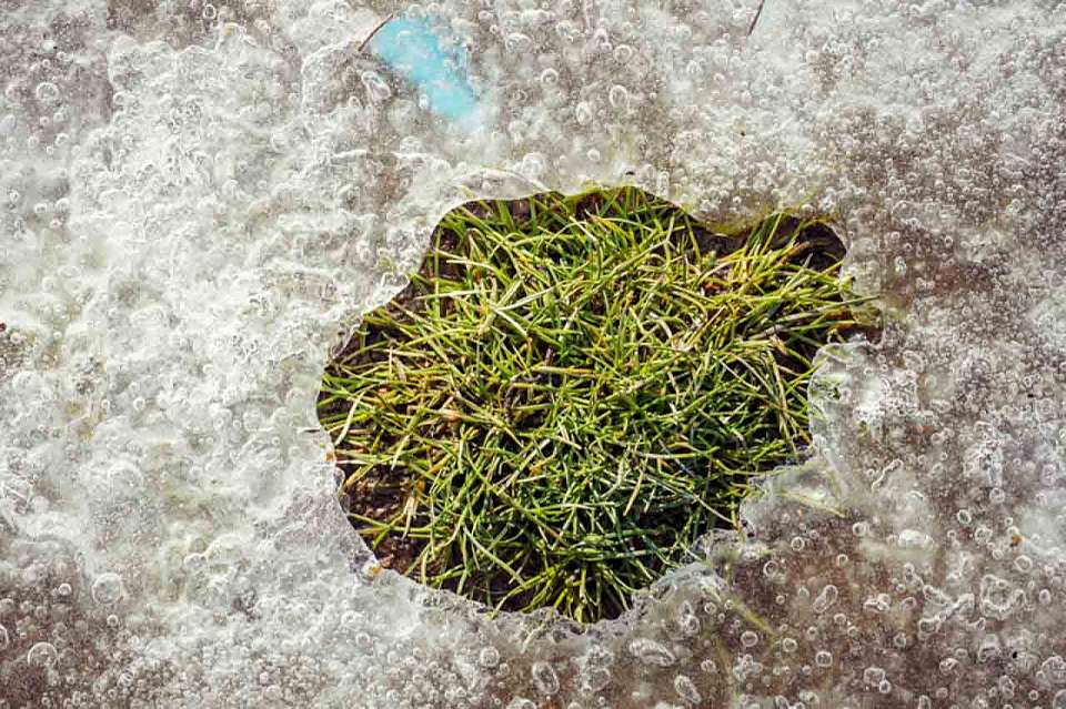 Дожди и мокрый снег придут в Воронеж на рабочей неделе