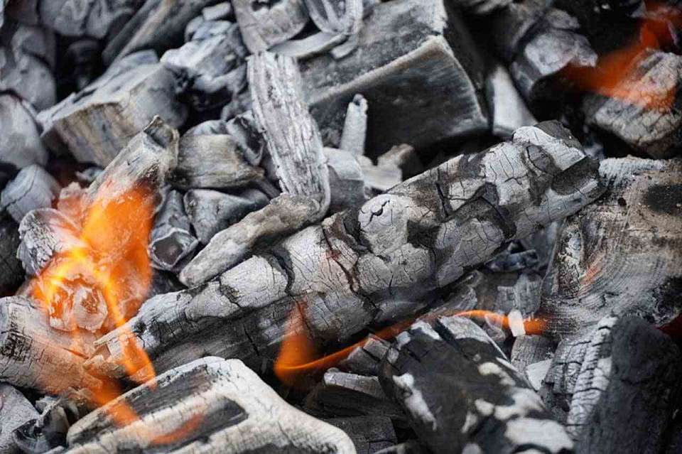 При пожаре в Воронежской области погибла 55-летняя женщина