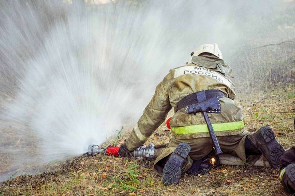 Труп мужчины обнаружили при тушении ландшафтного пожара в воронежском посёлке