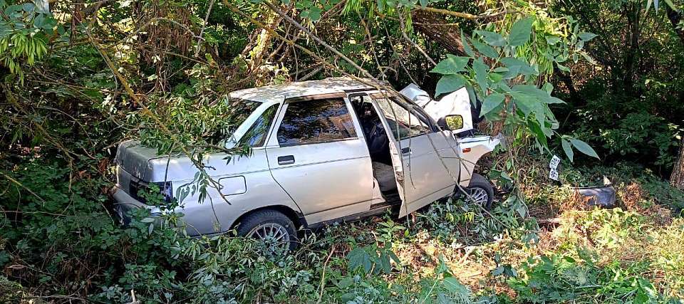 Водитель ВАЗа, врезавшегося в дерево, погиб на воронежской трассе