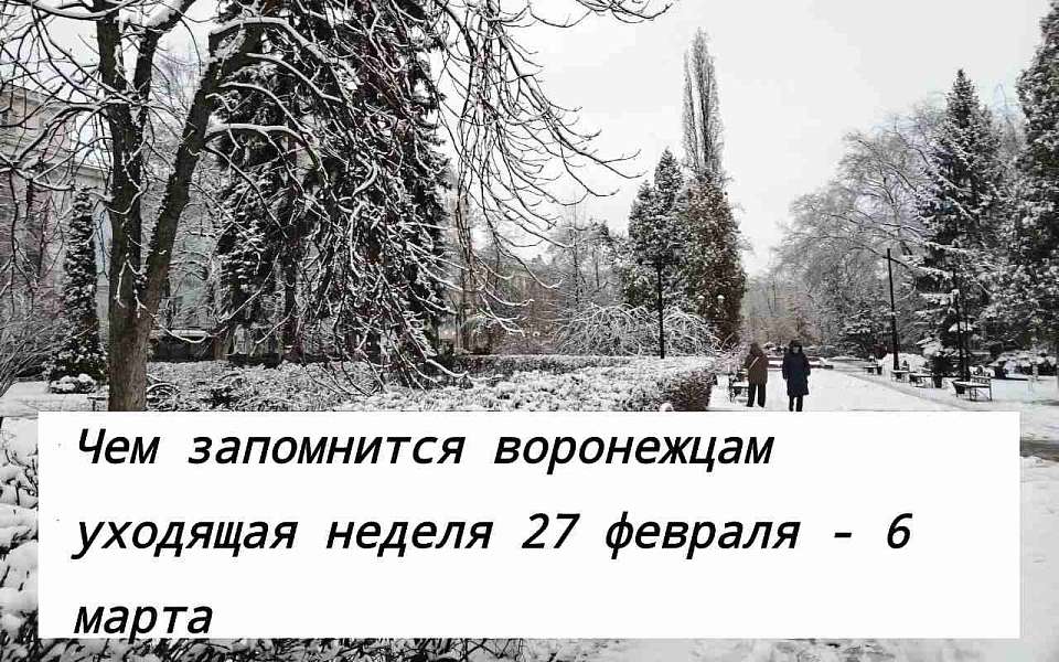 Чем запомнилась в Воронеже неделя с 27 февраля по 6 марта
