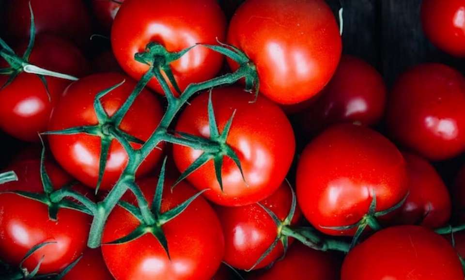 Цены на продукты в Воронежской области за последний месяц снизились