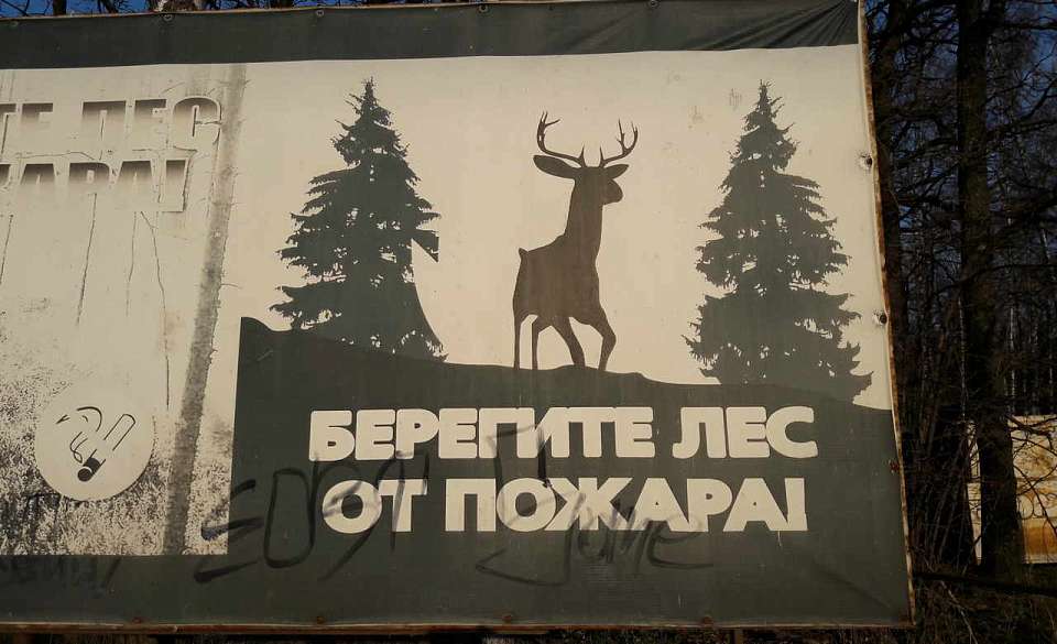 В 21 районе и 3 городах Воронежской области установили высокую степень пожароопасности