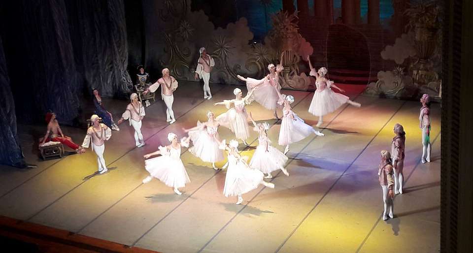 Отменили показ балетов на Платоновском фестивале в Воронеже