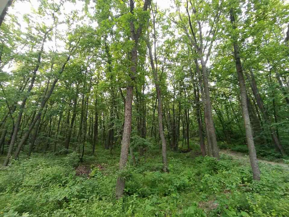 В Хопёрском заповеднике увеличилась площадь особо охраняемых территорий