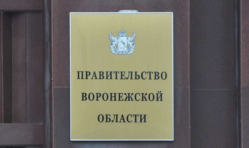 Главой правового управления воронежского правительства губернатор назначил дочь замгенпрокурора РФ