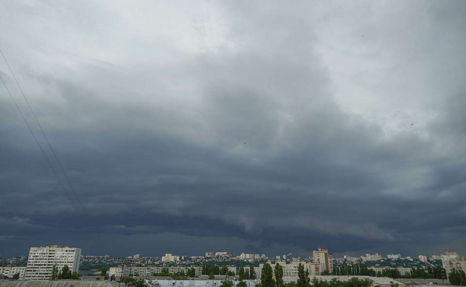 Штормовое предупреждение из-за сильного ветра 7 октября объявили в Воронежской области