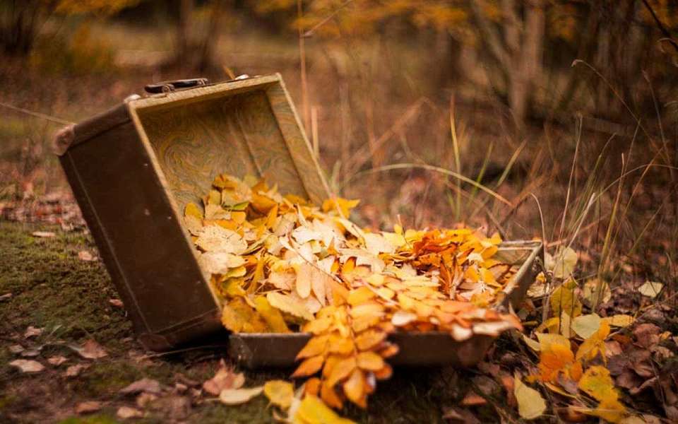 В выходные от +17 до +1 градуса спрогнозировали синоптики в Воронежской области