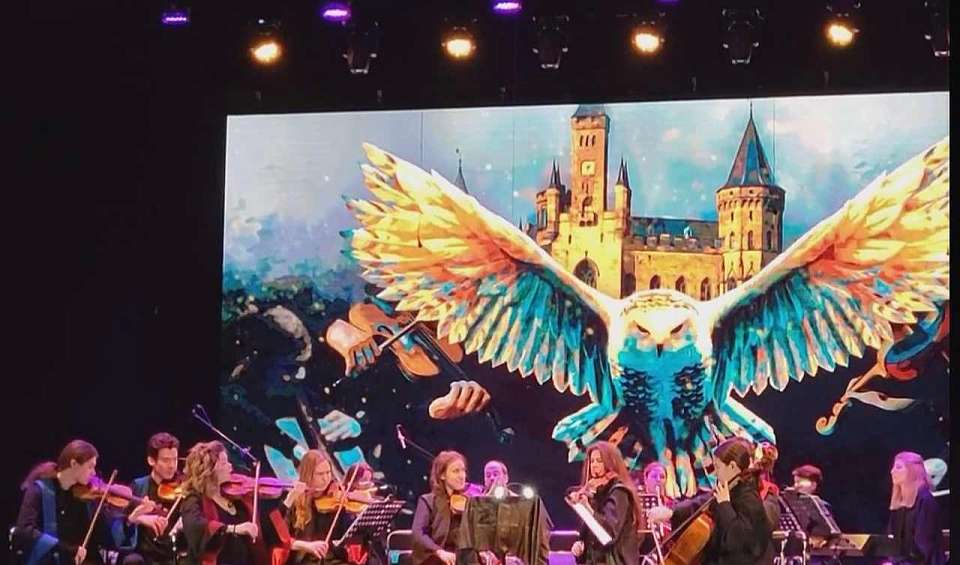 С приветом из Хогвартса: оркестр Sonorus исполнит в Воронеже саундтреки из «Гарри Поттера»