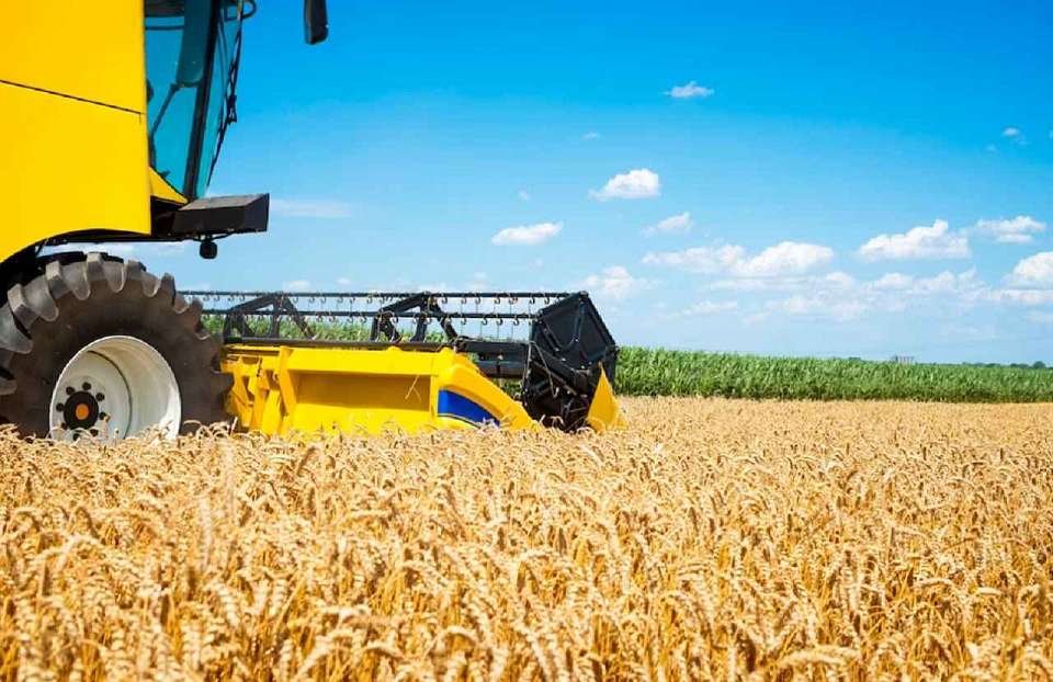 Первый миллион тонн зерна собран в Воронежской области 