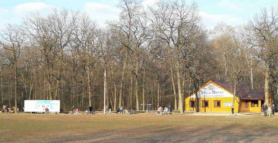 Во время субботника в воронежском парке «Олимпик» спилили 54 аварийных дерева