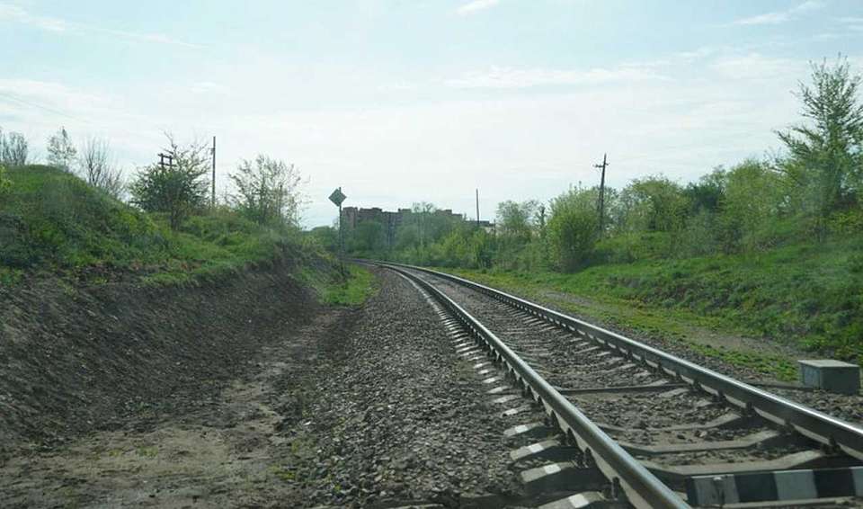 Из-за неисправности на железной дороге 11 пассажирских поездов были задержаны в Воронежской области